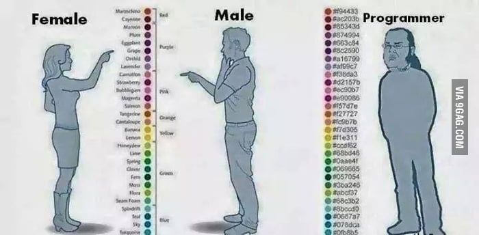 Female vs male vs Programmer - 9GAG