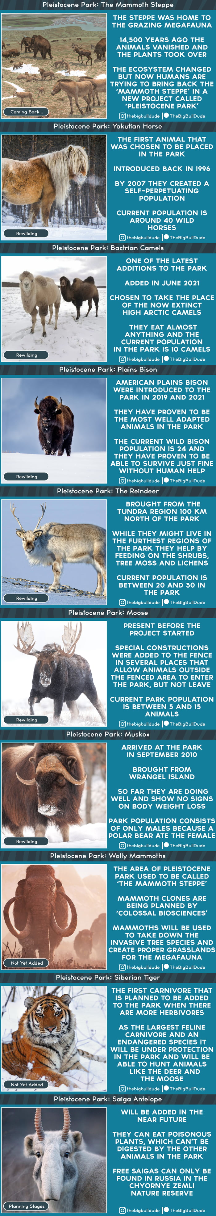 The entire first wave of pleistocene park posts collected together