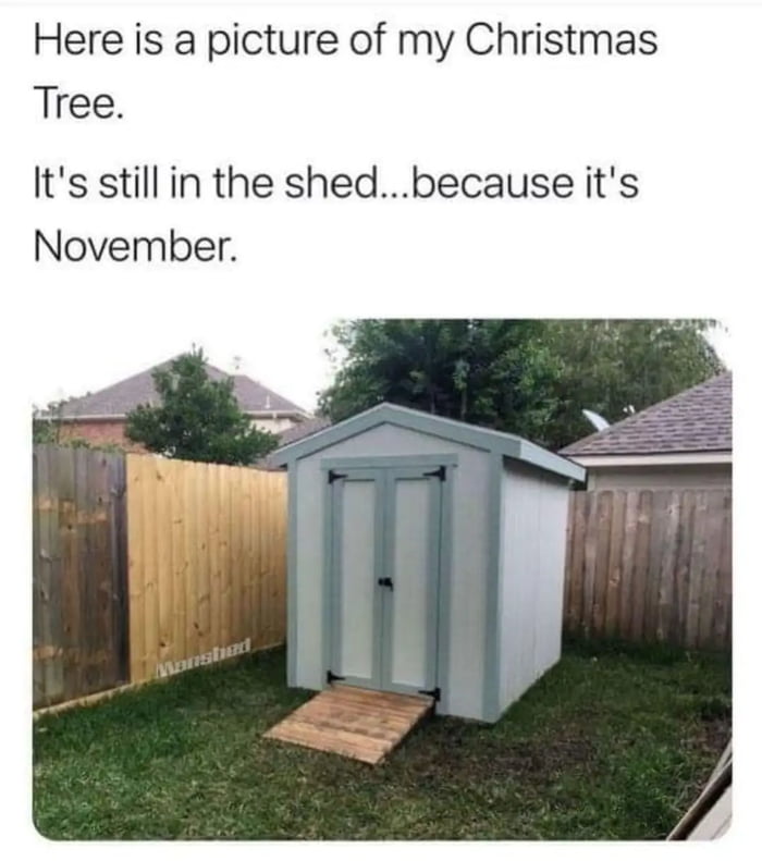 all-i-want-for-christmas-is-christmas-in-december-9gag