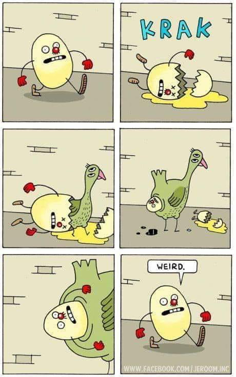 Eggs - 9GAG