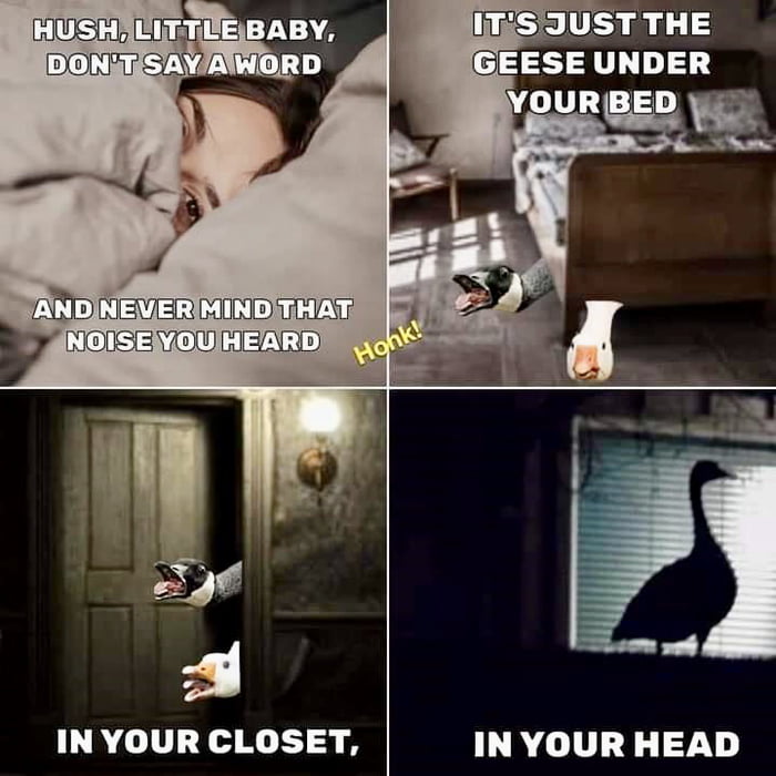Enter Gooseman 9GAG