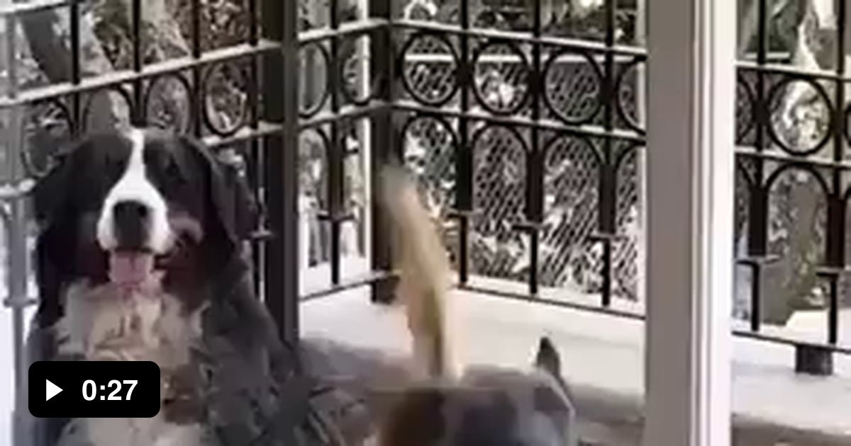 Jingle bells, jingle bells! Jingle all the way!! 9GAG