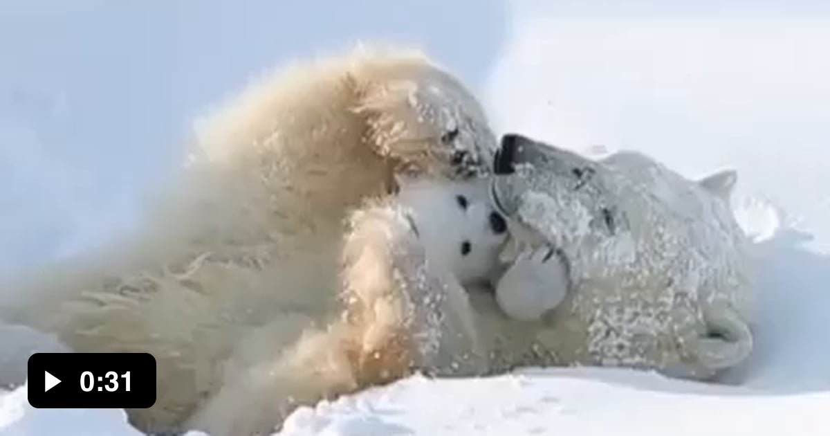 Там на белом свете где всегда мороз