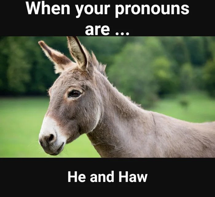 He/Haw - 9GAG