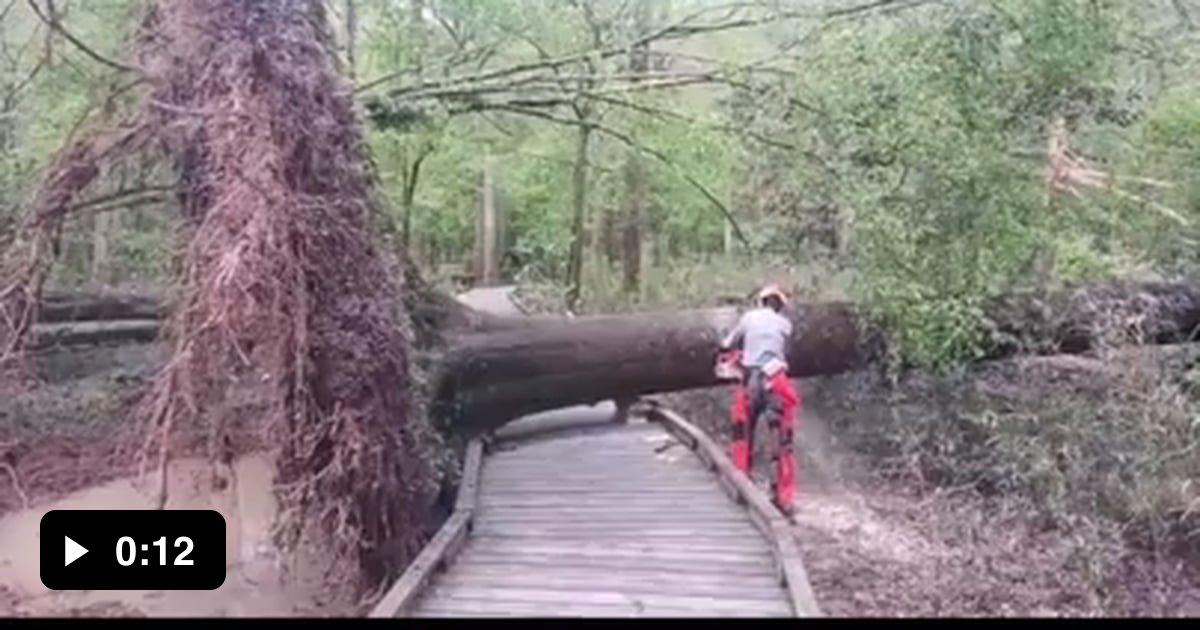 Most Satisfying Ending - 9GAG