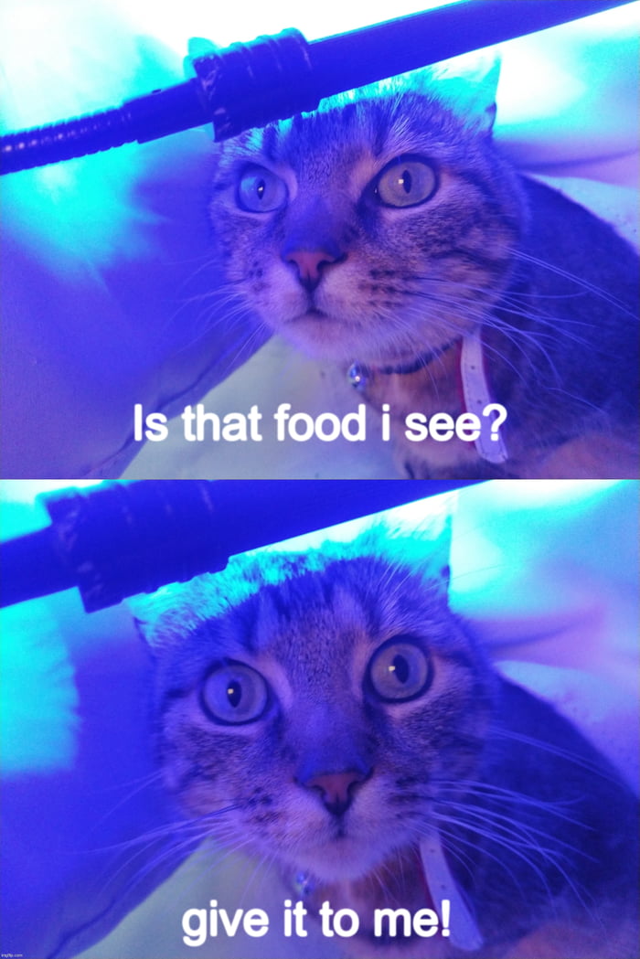 Every damn time i am trying to eat 9GAG
