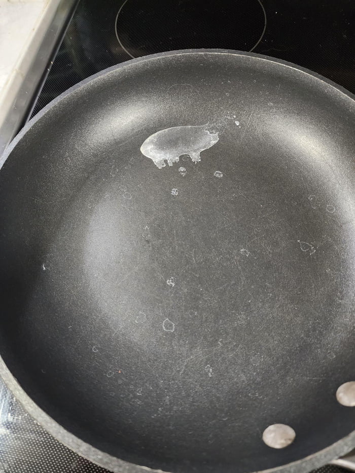 How Tall Does A Pig Fence Need To Be How Tall Does A Pig Fence Need To Be