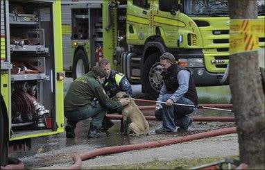 Police SGT, ambulance and RSPCA officer checking a dog rescued from a ...