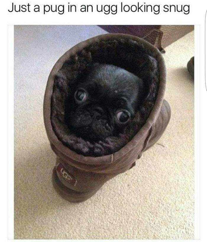 ugg 9gag ugg 9gag