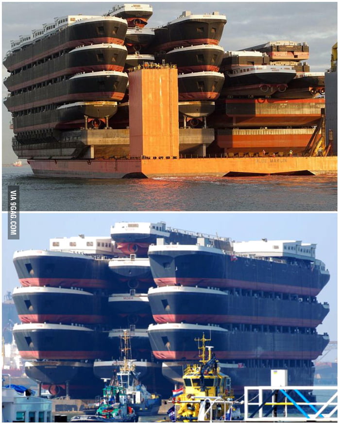 how-many-ships-could-a-ship-ship-if-a-ship-could-ship-ships-9gag