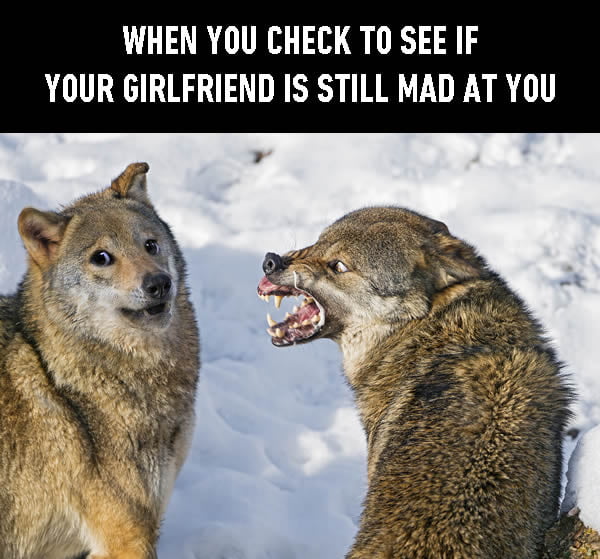 Dat face tho~ - 9GAG
