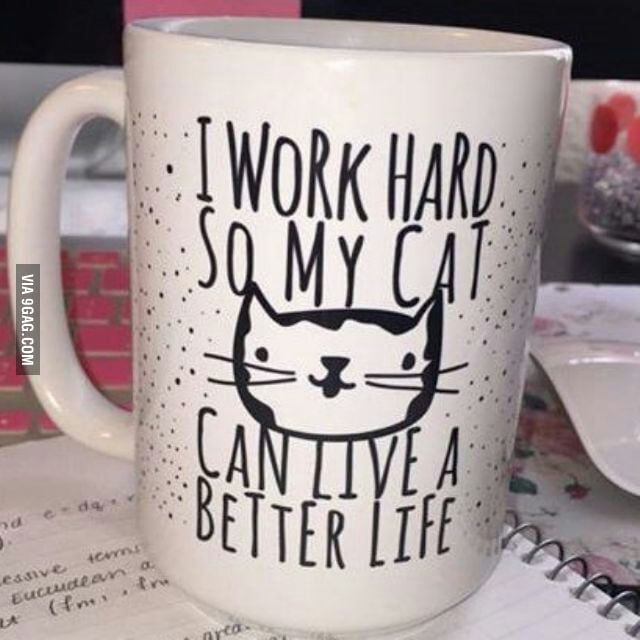 I really do - 9GAG