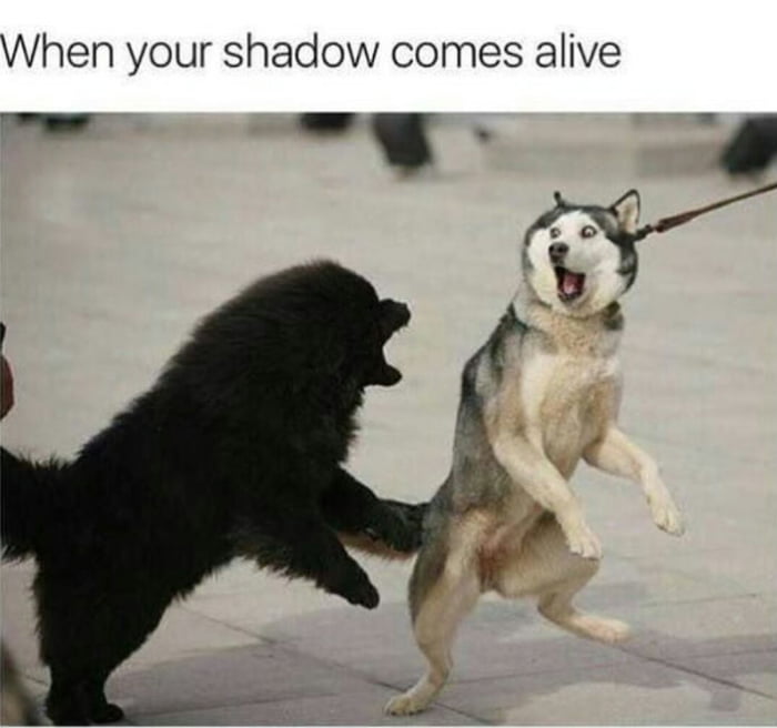 when-your-shadow-comes-alive-9gag