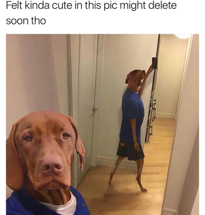 Depends on how many likes I get - 9GAG