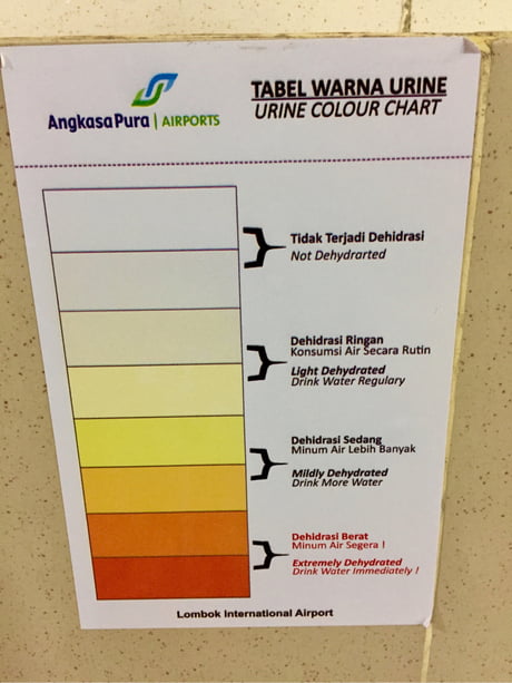 Paling Populer 24 Gambar Warna  Urine  Gani Gambar