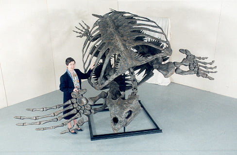 The skeleton of an archelon (prehistoric turtle) - 9GAG
