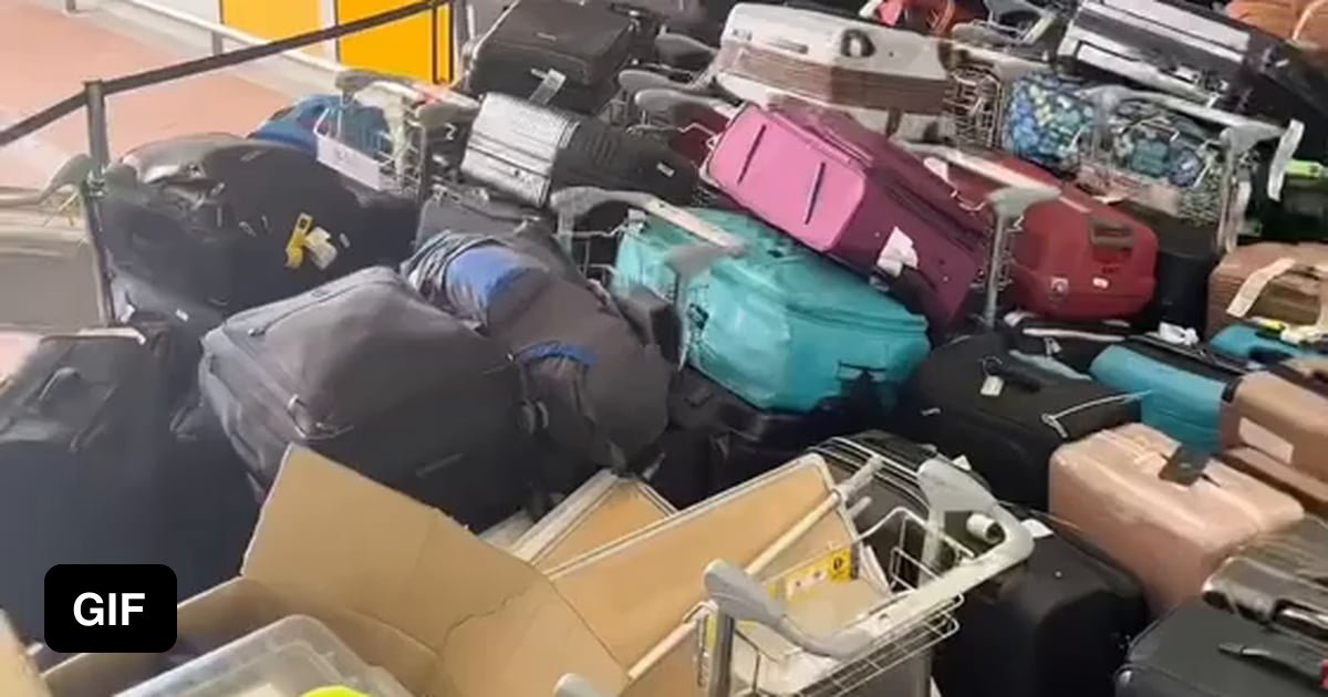 Baggage system at Heathrow airport malfunctions leaving hundreds of travelers without luggage 9GAG