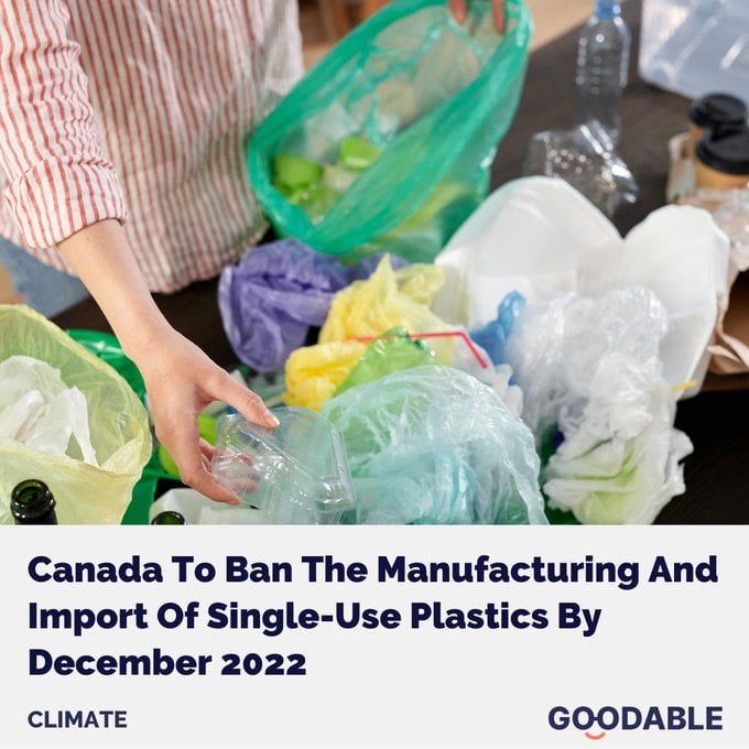 Canada has announced it is banning the manufacturing and import of singleuse plastics. It's