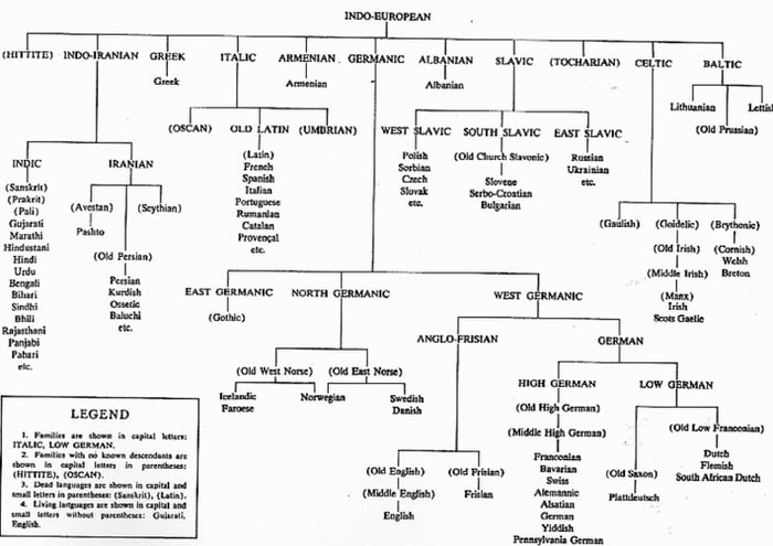 Indo-European Languages - 9GAG