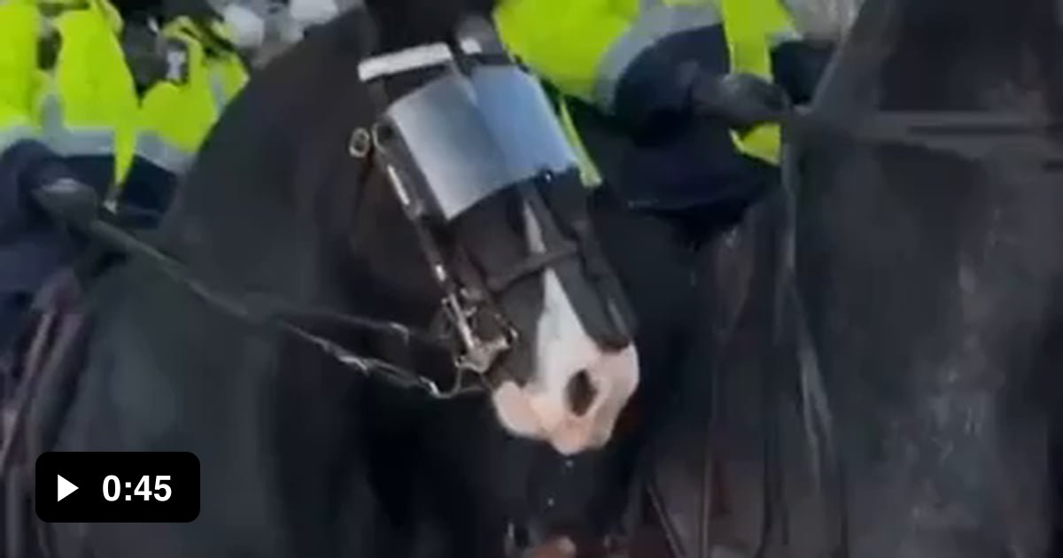 Canadian police on horseback trample a man and a lady in a wheelchair ...