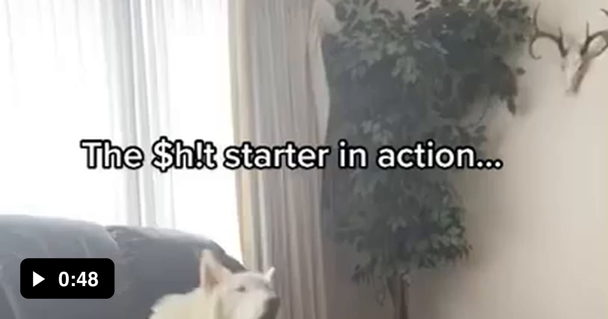 Owner and Dog Go back and forth on Howling. 9GAG