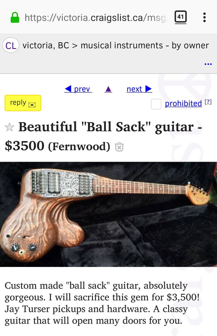 craigslist musical instruments by owner