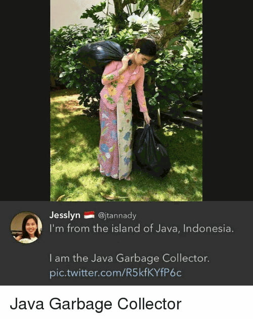 java-gc-9gag