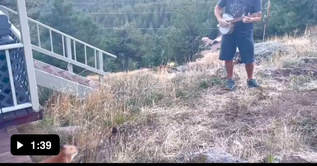 Playing banjo for a wild fox! He came back for an encore! 9GAG