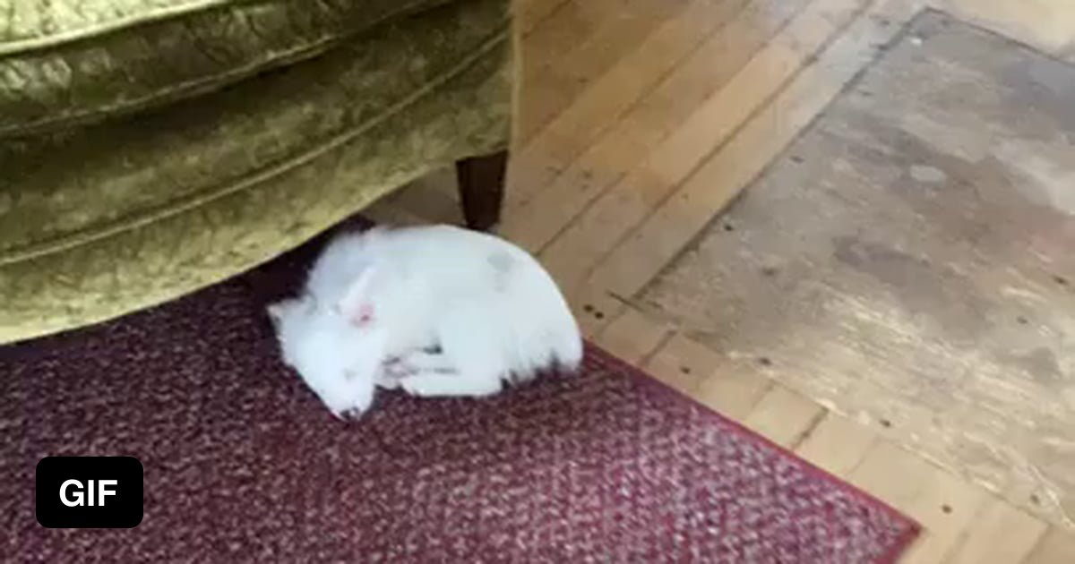 How To Gently Wake Up Newborn