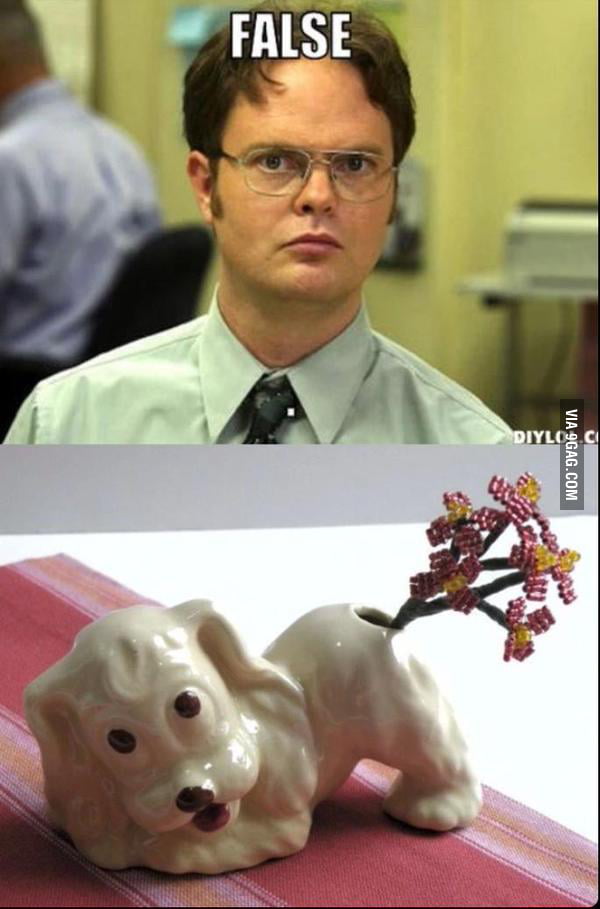 You can't put flowers in an ass and call it a vase! 9GAG