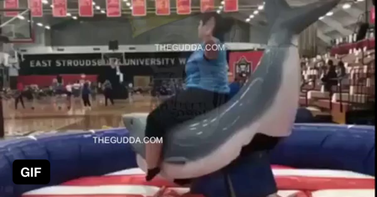 Bull Riding Shark Machine Large person on a mechanical bull (shark) what could go wrong? - 9GAG