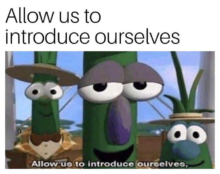 allow us to introduce ourselves
