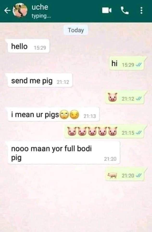 Bobs And Vagene I Love Funny Things