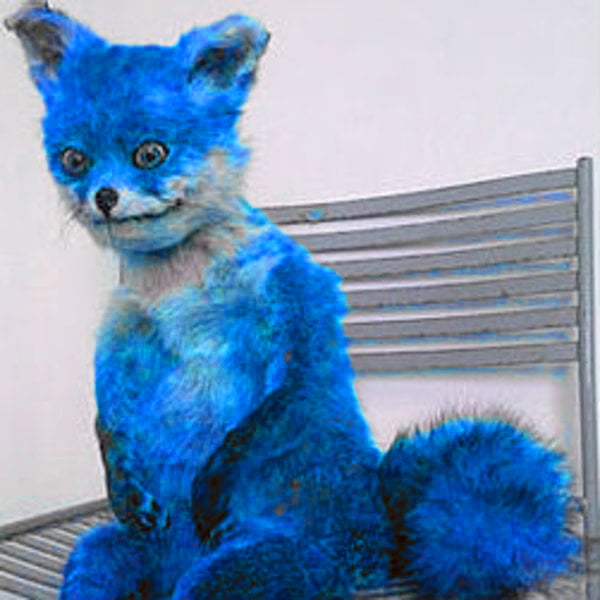 blue fox stuffed animal