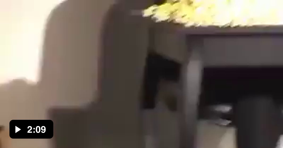 Some mad bastards decided to use Scarface as a kids school play 9GAG