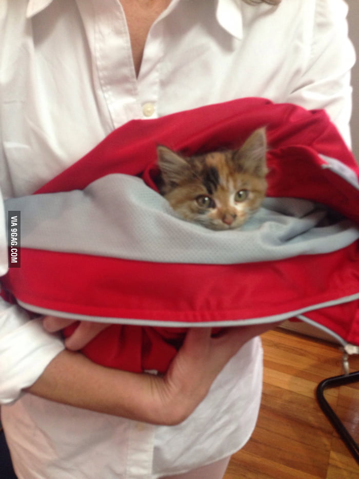 So today I rescued this little guy from an engine - 9GAG