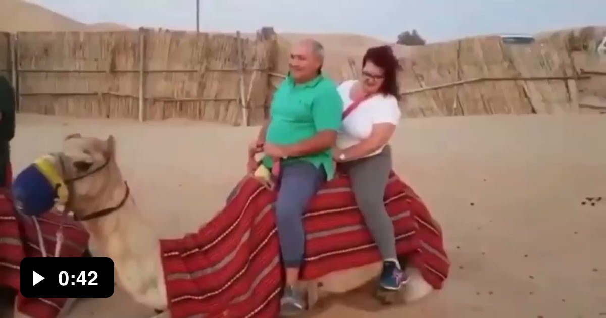 Camel weight limit 9GAG