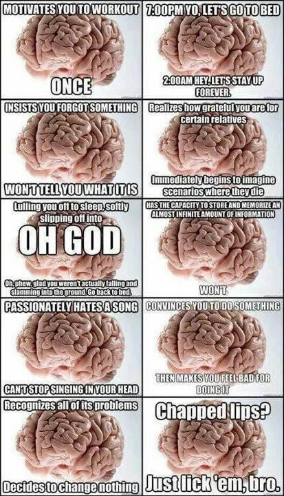 Image - 211156], Scumbag Brain