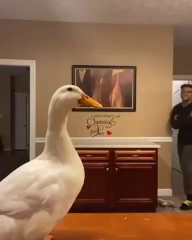 That’s the content I’m looking for.