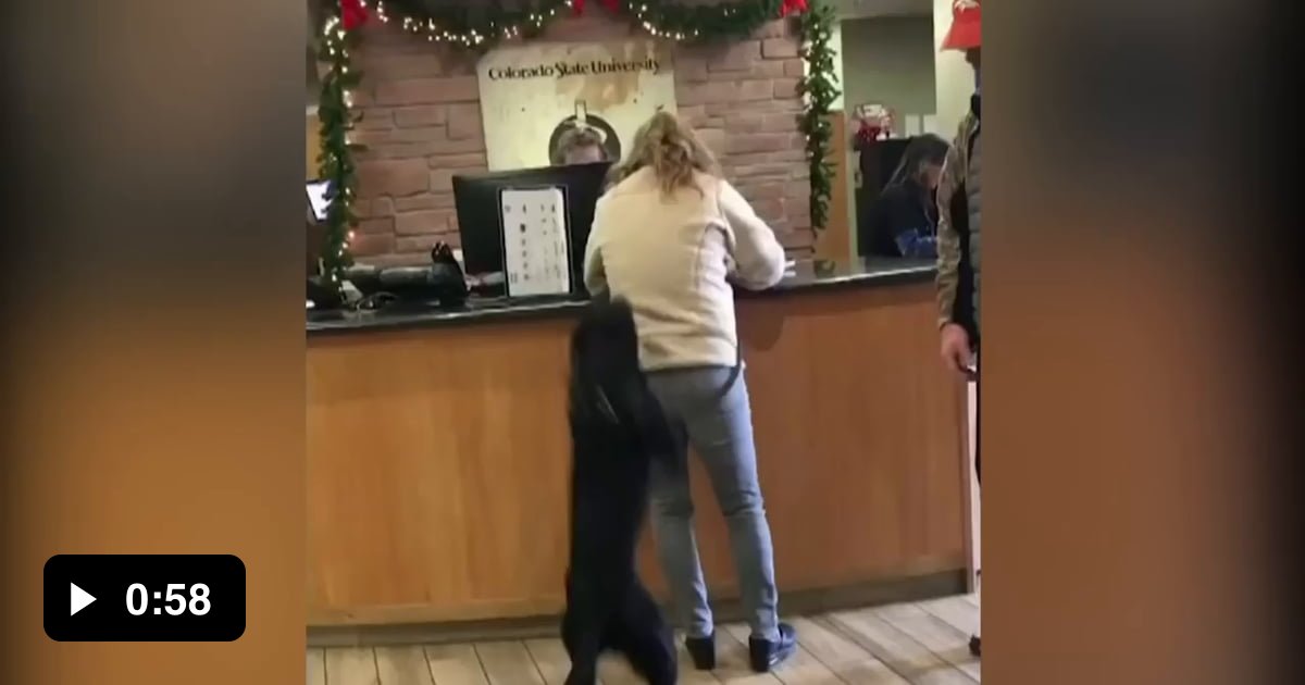 Dog’s hilarious reaction to seeing the vet - 9GAG