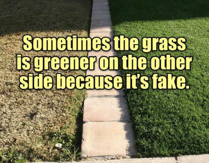 Sometimes The Grass Is Greener On The Other Side Because It S Fake Be Careful 9gag