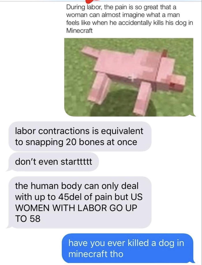 I’ve never played minecraft - 9GAG
