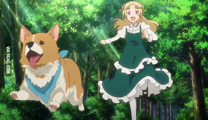 Anime Dog of the Day on X: 