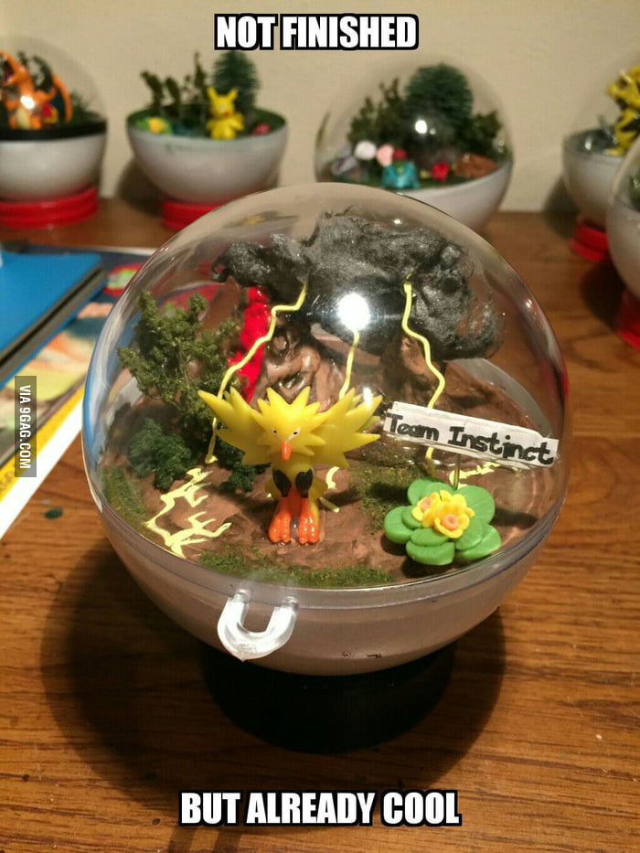Pokemon Terrarium 9GAG