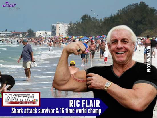 Ric Flair got bit by a shark this weekend. Bicep > Shark - 9GAG