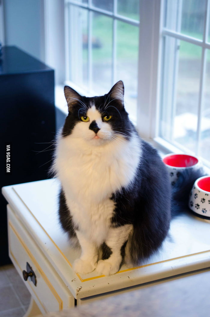 Jack's not real happy he's on a diet. He sits here for hours, just ...