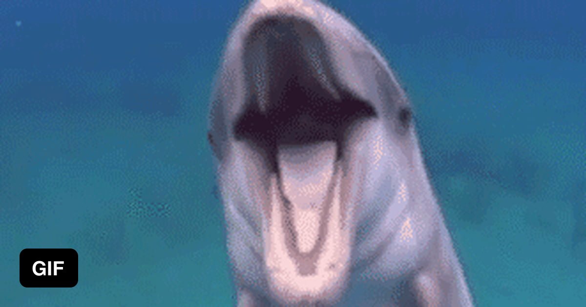 Анимация улыбающиеся твари. Дельфины анимация. Смешные дельфины. Дельфины гиф. Дельфин gif.
