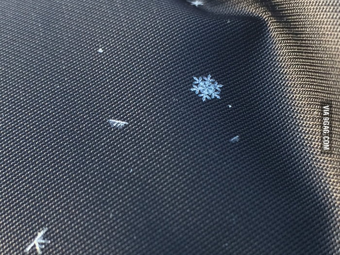 A perfect snowflake landed on me - 9GAG