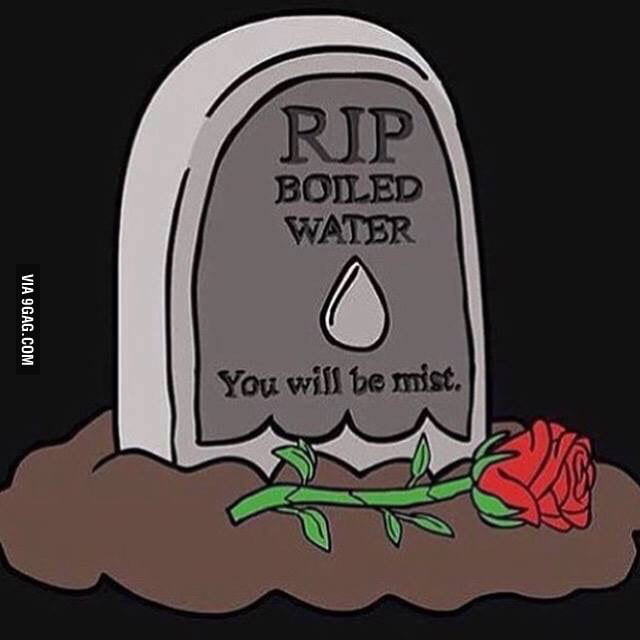 You will be mist 9gag