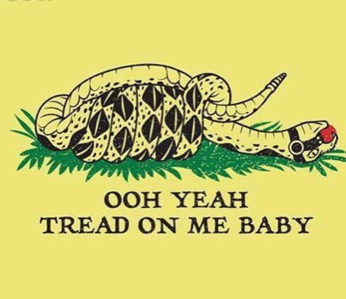 the don t tread on me snake s kinky sister 9gag tread on me snake s kinky sister 9gag